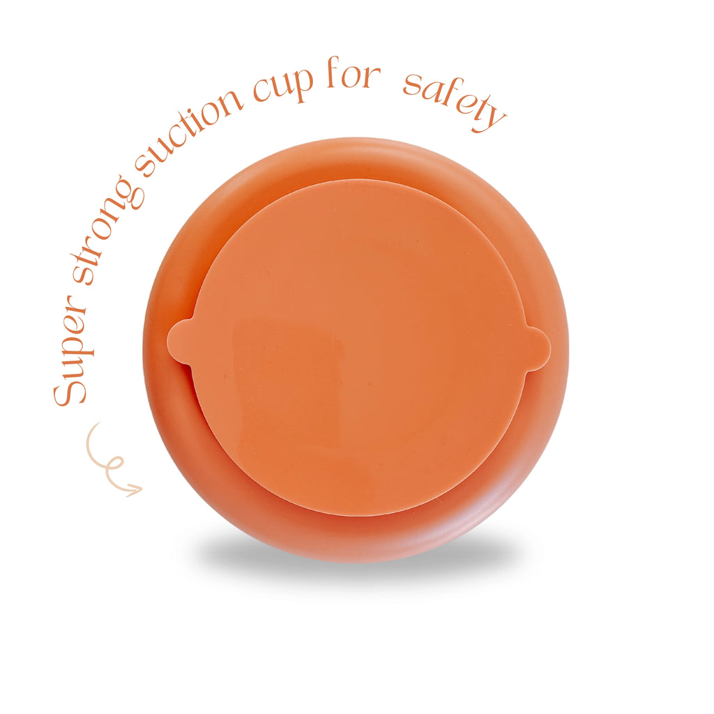 Cactus Non-Slip Slow Feeder