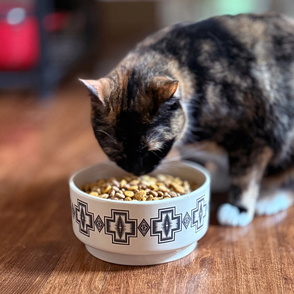 Pendleton Ceramic Harding Food & Water Bowl